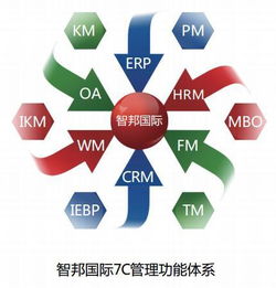 企業(yè)管理軟件100%成功率背后的故事 計(jì)算機(jī)系統(tǒng)服務(wù)的精密藝術(shù)
