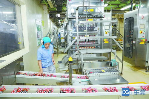 聚焦粵歐交流會(huì)② 計(jì)算機(jī)系統(tǒng)服務(wù)領(lǐng)域，歐洲企業(yè)在莞投資不斷加碼，投資東莞正當(dāng)其時(shí)